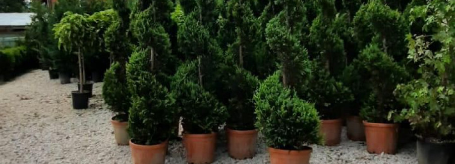 Divizionarii Cover Image